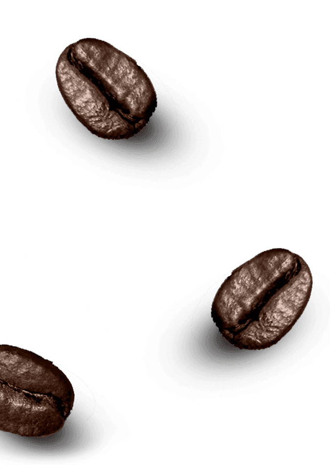 CIOLE - Triple Beans - left wall